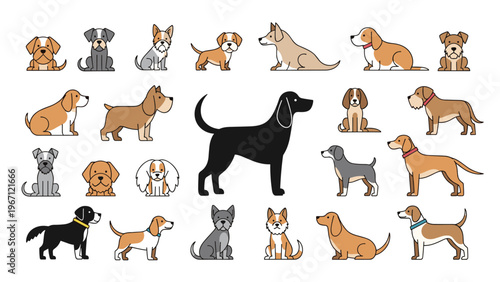 Wide variety of different dog breeds are shown in a grid layout featuring various sizes, colors, and poses for all animal lovers.