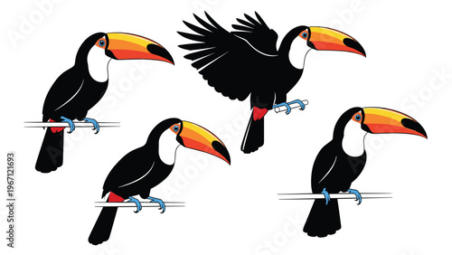 Set of four colorful toucan birds in various poses including sitting on branches and flying with spread wings in the rainforest.