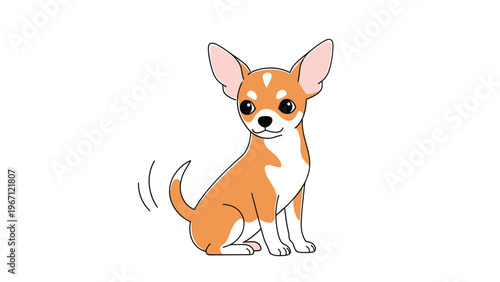 Small brown and white chihuahua dog is sitting and wagging its tail with a happy and curious expression on its face for pet lovers.