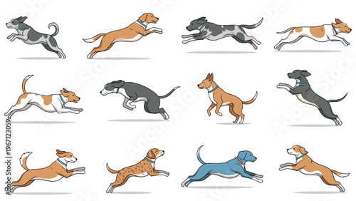 Comprehensive collection of twelve different dog breeds shown in running poses with various colors and patterns for pet-related designs.