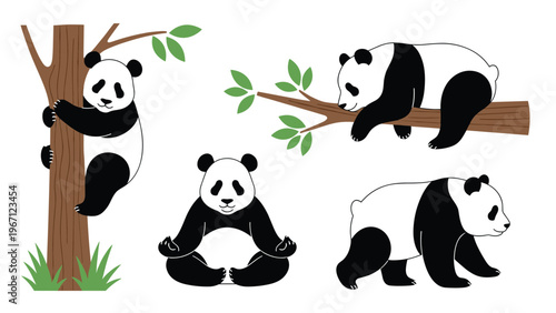 Cute panda bear character set showing different activities like climbing, meditating, sleeping on a branch, and walking.