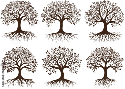 Tree of Life with Roots Spiritual Nature Set Silhouette Vector