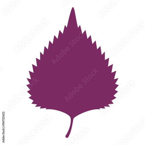 赤ジソの葉のイラスト　背景透過　
