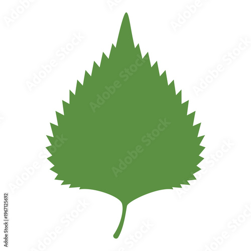 シソの葉のイラスト　コピースペースあり　背景透過　
