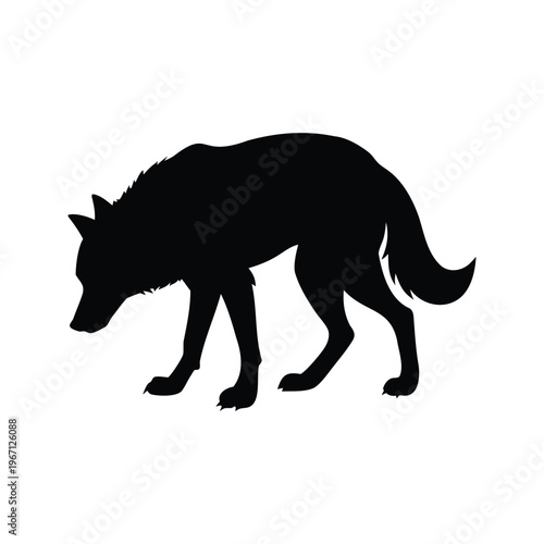 Black and white silhouette vector illustration of a wolf walking, perfect for nature-themed designs, wolf scratching silhouette vector illustration