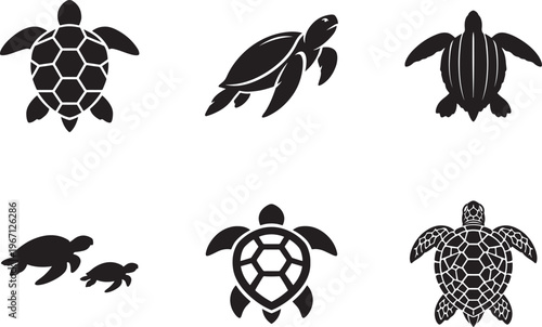 Turtle marine animal icon set sea turtle silhouette vector illustration isolated clean design.