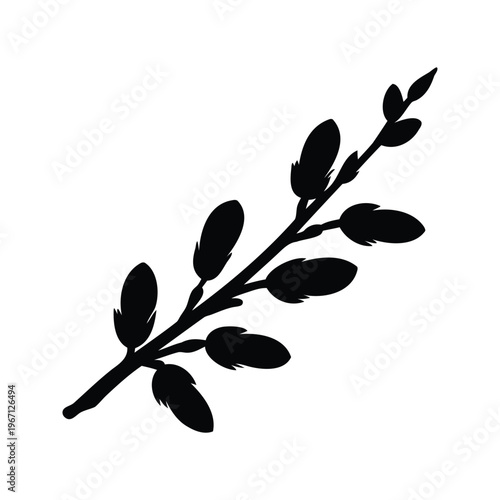 Elegant leaf branch with detailed silhouette vector illustration, willow branch silhouette vector illustration