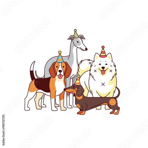 Four different dog breeds wearing colorful party hats, celebrating together.