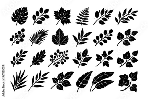Collection of black silhouette leaf illustrations of various plant species.