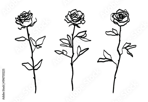 Obraz na płótnie Set of black vector hand drawn rough black marker or ink style decorative rose s