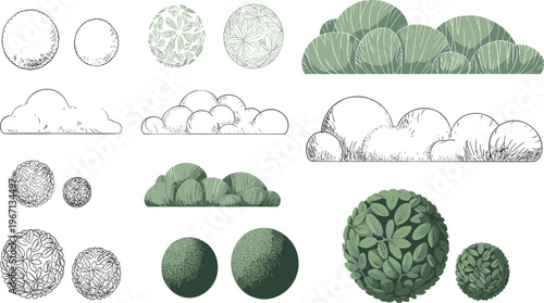 Stylized bushes and shrubs illustration set with circular and clustered forms, line art outlines, textured green foliage patterns, botanical drawing, and landscape design elements