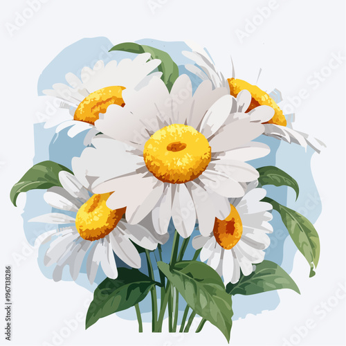 Weiße Kamillenblüten mit gelber Mitte im Frühlingsgarten