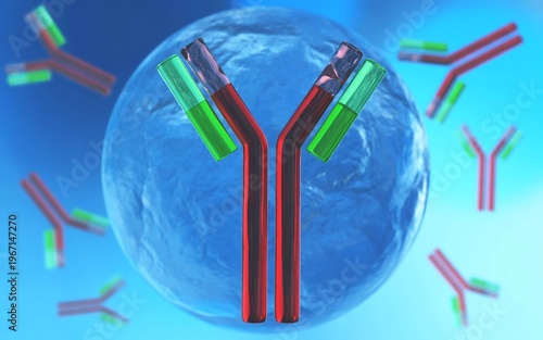 antibody, immunoglobulin, Y-shaped protein produced mainly by plasma cells,   3d rendering