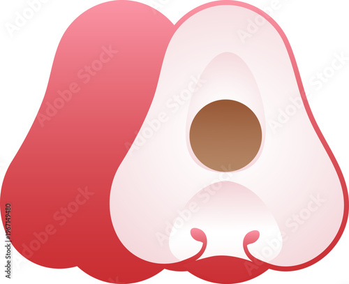 Bell Fruit or Water Apple Isolated Vector for Graphic Design