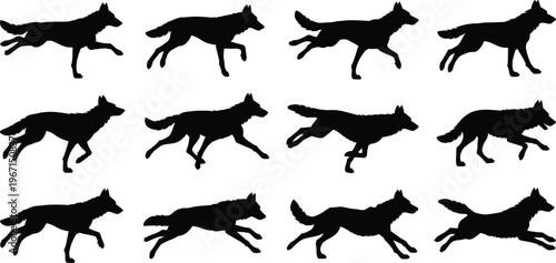 Dog running animation sequence silhouettes, collection of canine motion poses, walking, trotting, and sprinting frames, animal movement study for design, illustration, and motion reference