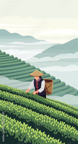 A person in a conical hat harvesting tea leaves on a misty terraced hillside