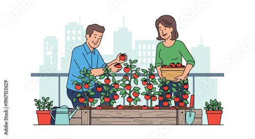 A man and woman harvesting fresh red tomatoes in a wooden balcony garden planter