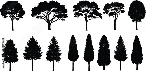Tree silhouettes collection with deciduous and conifer shapes, detailed forest elements for landscape, nature, and environment design, illustration, and creative projects
