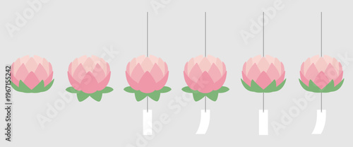 Lotus Lantern Illustration