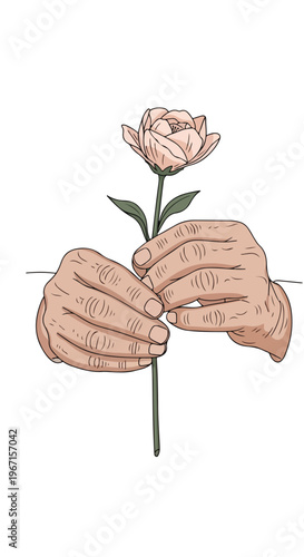 A close-up illustration of aged hands gently holding a delicate blooming flower