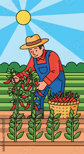 A farmer in a straw hat picking red chili peppers in a bright sunny field
