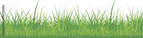 Green grass border with fresh natural blades isolated on white background for garden, nature, landscaping and spring season design elements