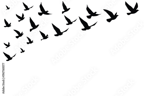 Flying birds silhouettes wallpaper pattern.