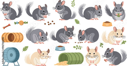 Professional Cute Chinchillas and Pet Care Vector Set Featuring Cartoon Rodents Eating Playing and Relaxing with Toys for Veterinary Designs