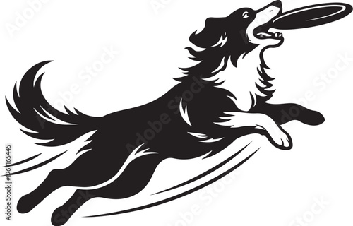 Agile border collie vector illustration dynamically leaps to perfectly catch a flying frisbee disk in mid-air.