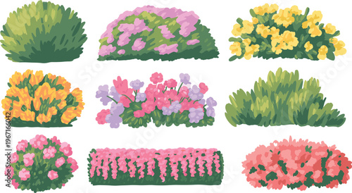 Colorful garden bushes and flower beds set, decorative shrubs with vibrant blooms and green foliage, natural landscape elements, isolated vector illustration for design use