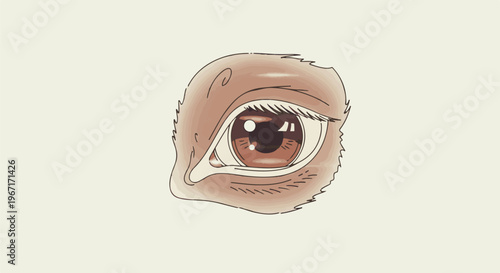 A stylized brown eye with thick black outlines and subtle shading
