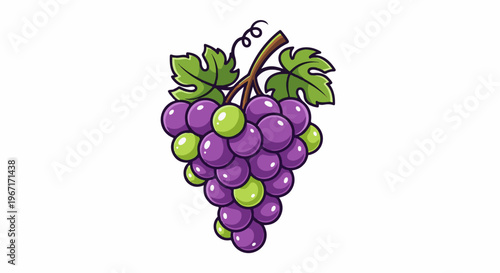 A stylized bunch of purple and green grapes hangs from a vine