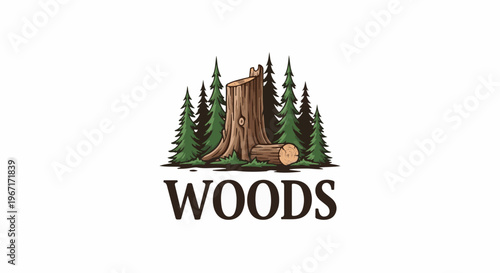 Rustic forest scene with tree stump, log, and evergreen trees below