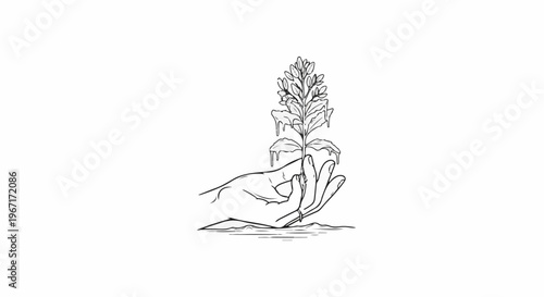 Hand holding a dripping plant, symbolizing growth or care