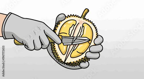 Gloved hands preparing a cut durian fruit with a knife