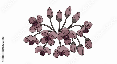 Delicate illustration of blooming orchid flowers with buds on stems