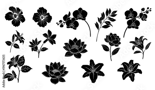 Black floral silhouette vector set with exotic tropical flowers and elegant botanical stems isolated on white background