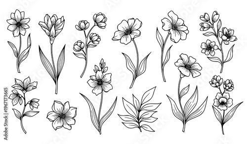 Minimalist tropical floral silhouette set with blooming flowers and botanical stems vector isolated on white background