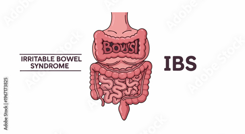 Illustration of the human digestive system with the word "BOWELS" inside the large intestine