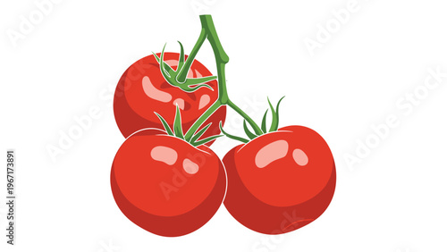 Group of three ripe red tomatoes still attached to a fresh green vine illustrated against a solid white background.