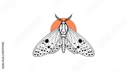 Detailed hand drawn illustration of a white moth with striking black spots set against a warm orange circular backdrop for a minimalist nature design.