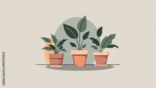 Minimalist interior illustration featuring three different green potted plants in terracotta containers arranged neatly on a simple neutral surface.