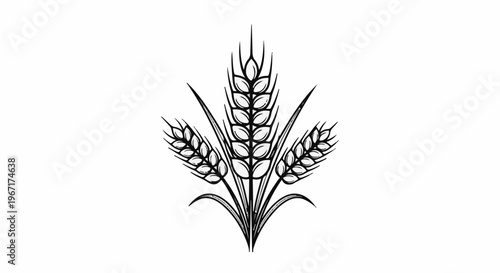 Stylized black and white drawing of three wheat stalks