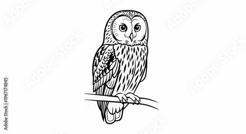 Black and white illustration of an owl perched on a branch
