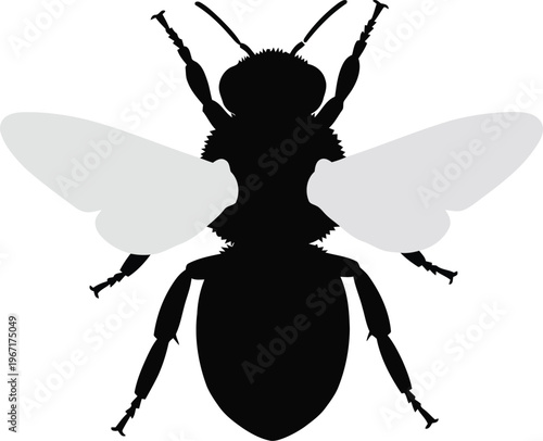Black and white graphic silhouette of a bee with two distinct light gray wings