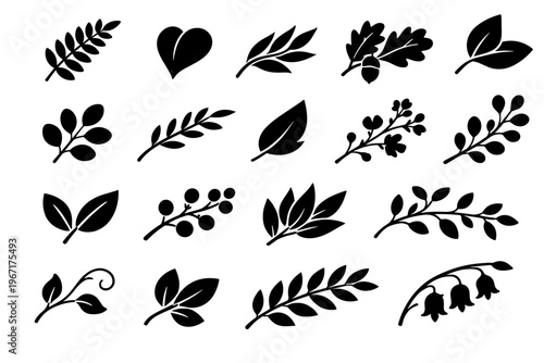 Set of black botanical leaf and branch silhouettes in varied shapes, arranged as elegant decorative elements. Concept of nature, organic design, greenery, and minimalist floral branding.
