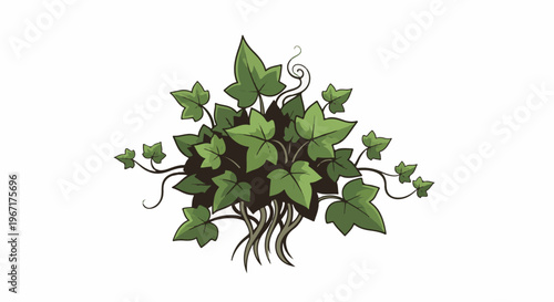 A stylized illustration of a lush green ivy plant with trailing vines