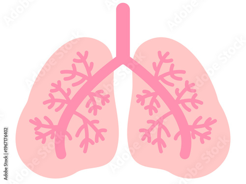 	肺のイラスト素材