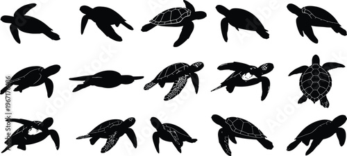 A collection of fifteen black turtle silhouettes in various poses against a stark white background showcasing marine life