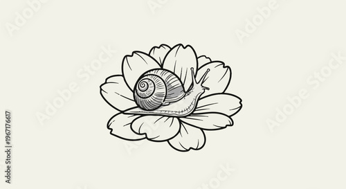A detailed black and white line drawing of a snail crawling on a flower